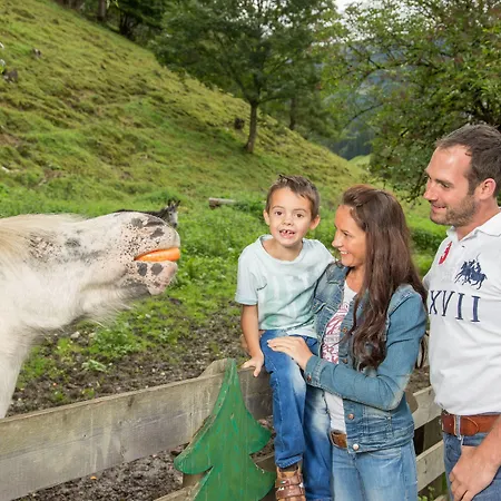 Stadt Wien Zell am See