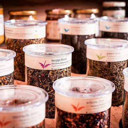 Stadt Wien Zell am See