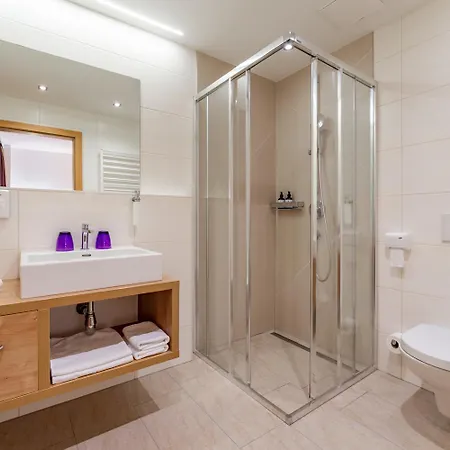 Stadt Wien 4* Целль-ам-Зе