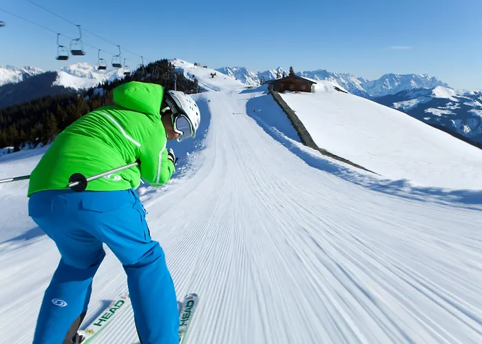 Stadt Wien Отель 4*