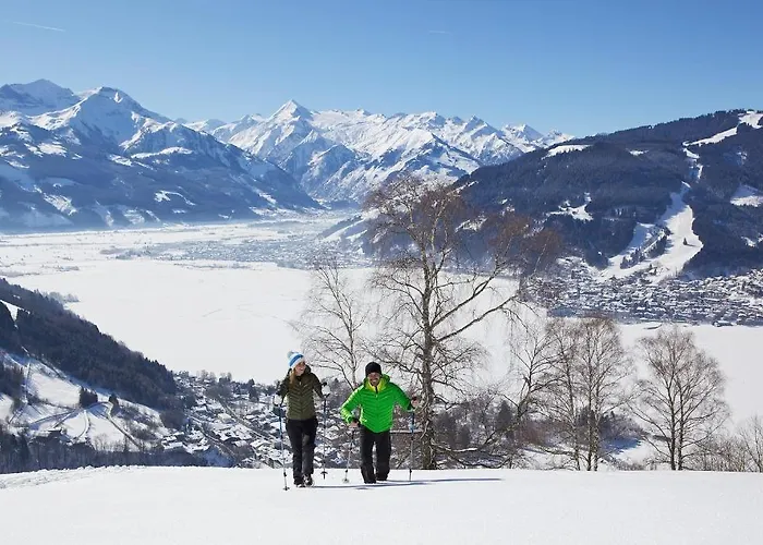 Stadt Wien Отель