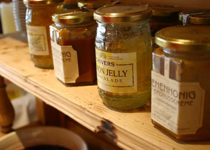 Stadt Wien Отель